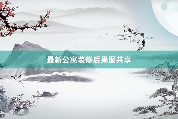 最新公寓装修后果图共享