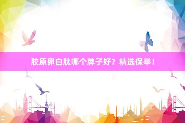 胶原卵白肽哪个牌子好？精选保举！